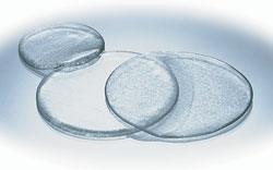 (image for) Gel Cups & Pads