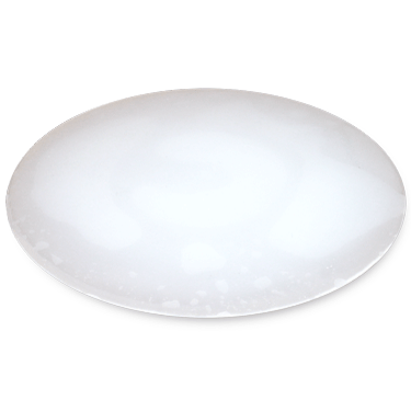 (image for) Silicone Gel Disc by ESP